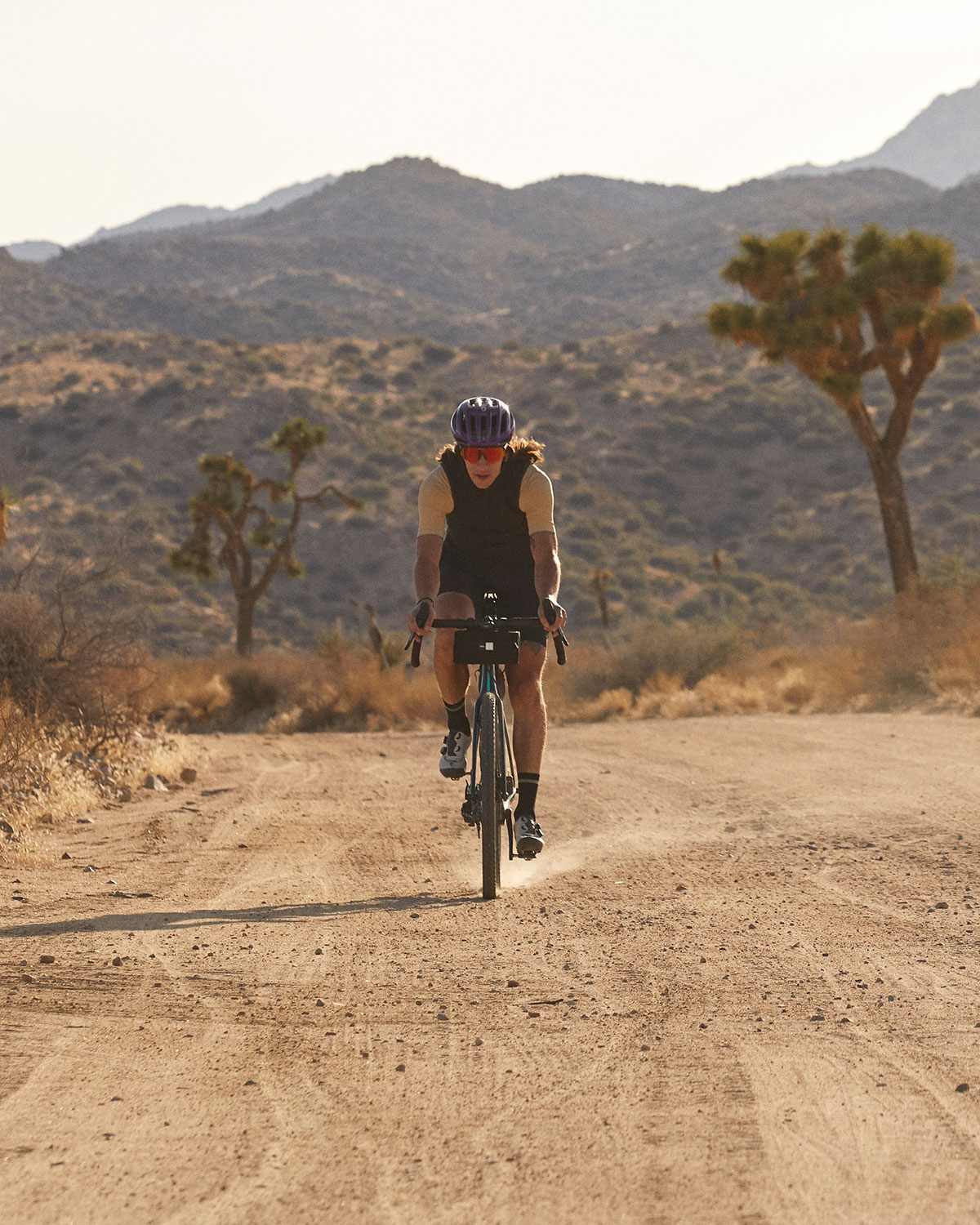 PEdALED